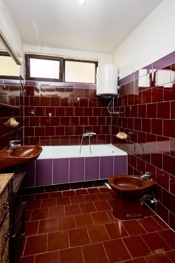 Apartmani Dr. Gasa Soko Banja Luaran gambar