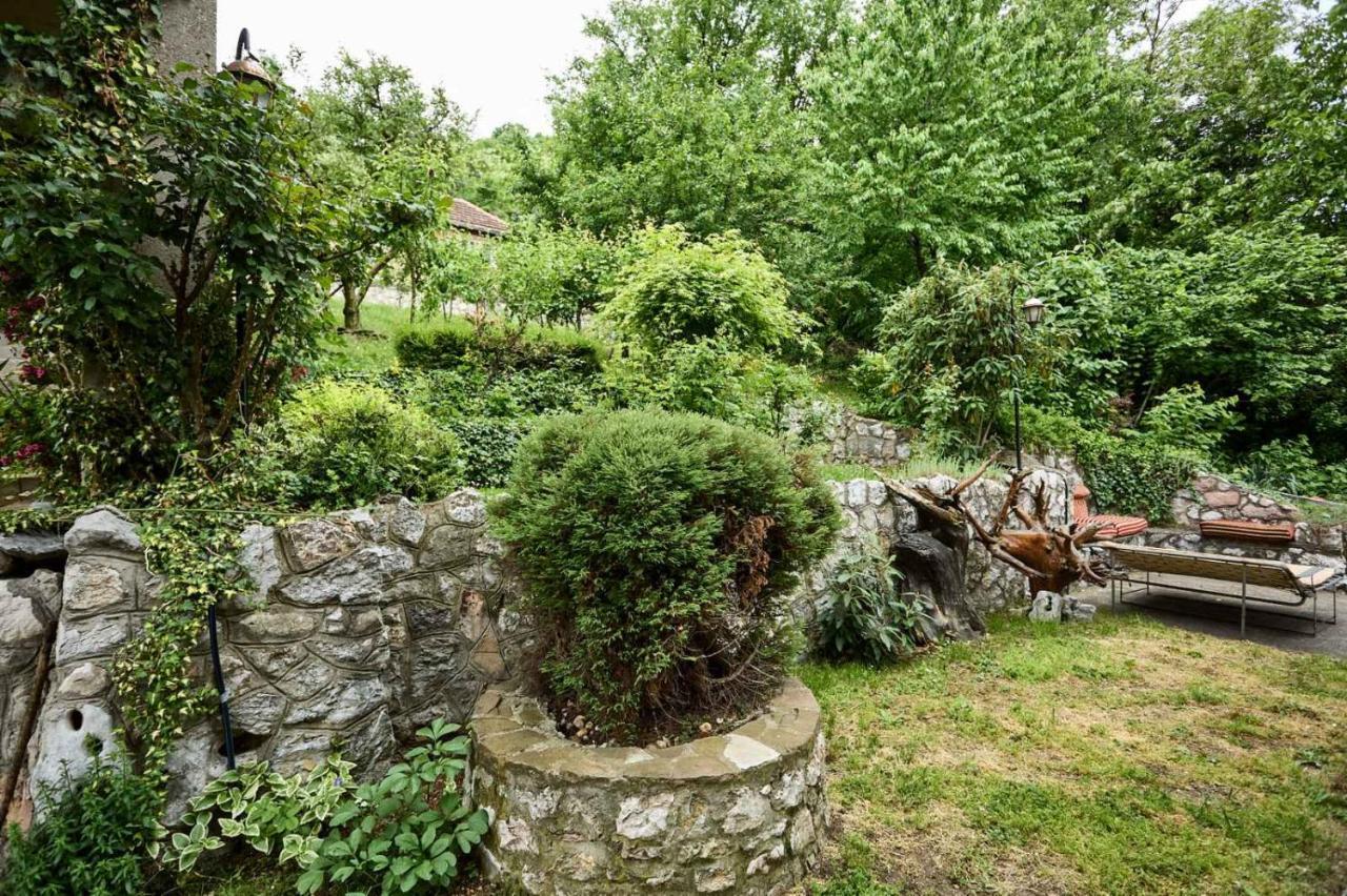 Apartmani Dr. Gasa Soko Banja Luaran gambar